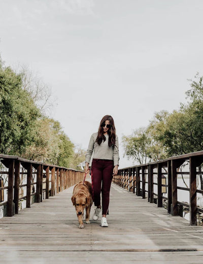 Building Healthy Routines: A Guide to Daily Fitness