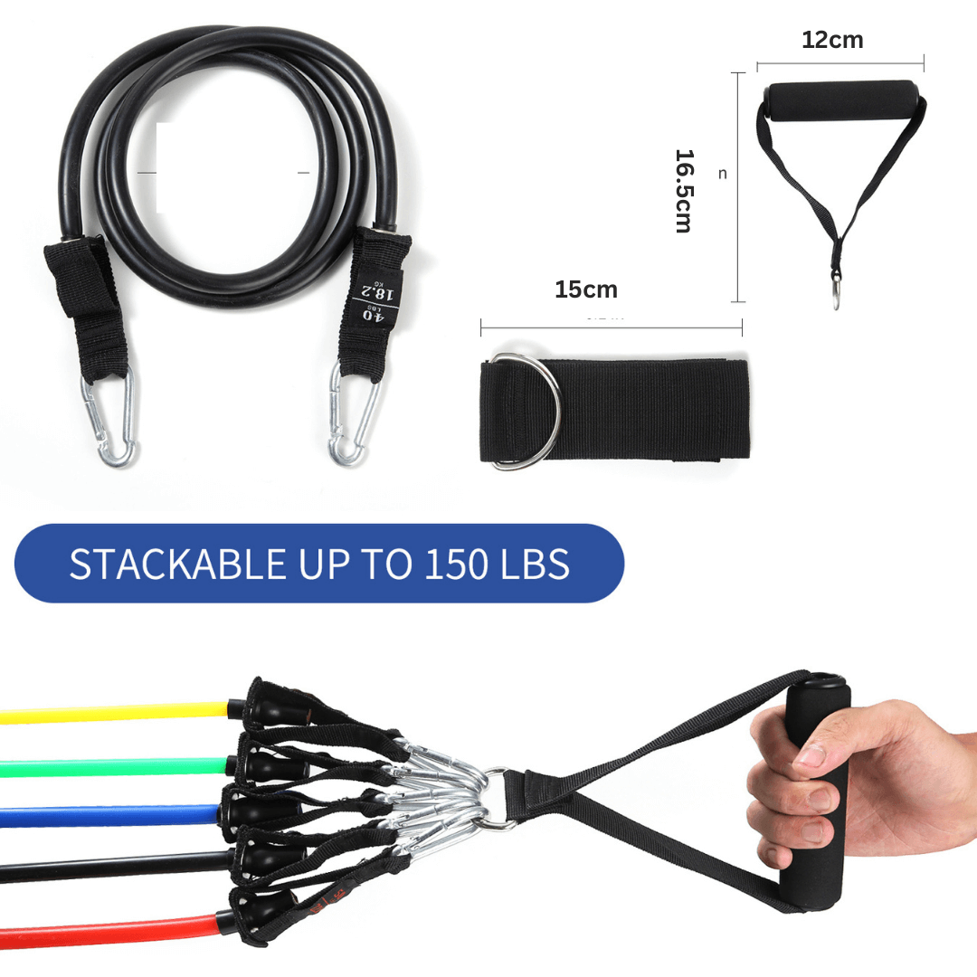 Workout bands with handles