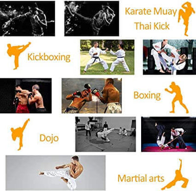 Boxing Pads and Gloves