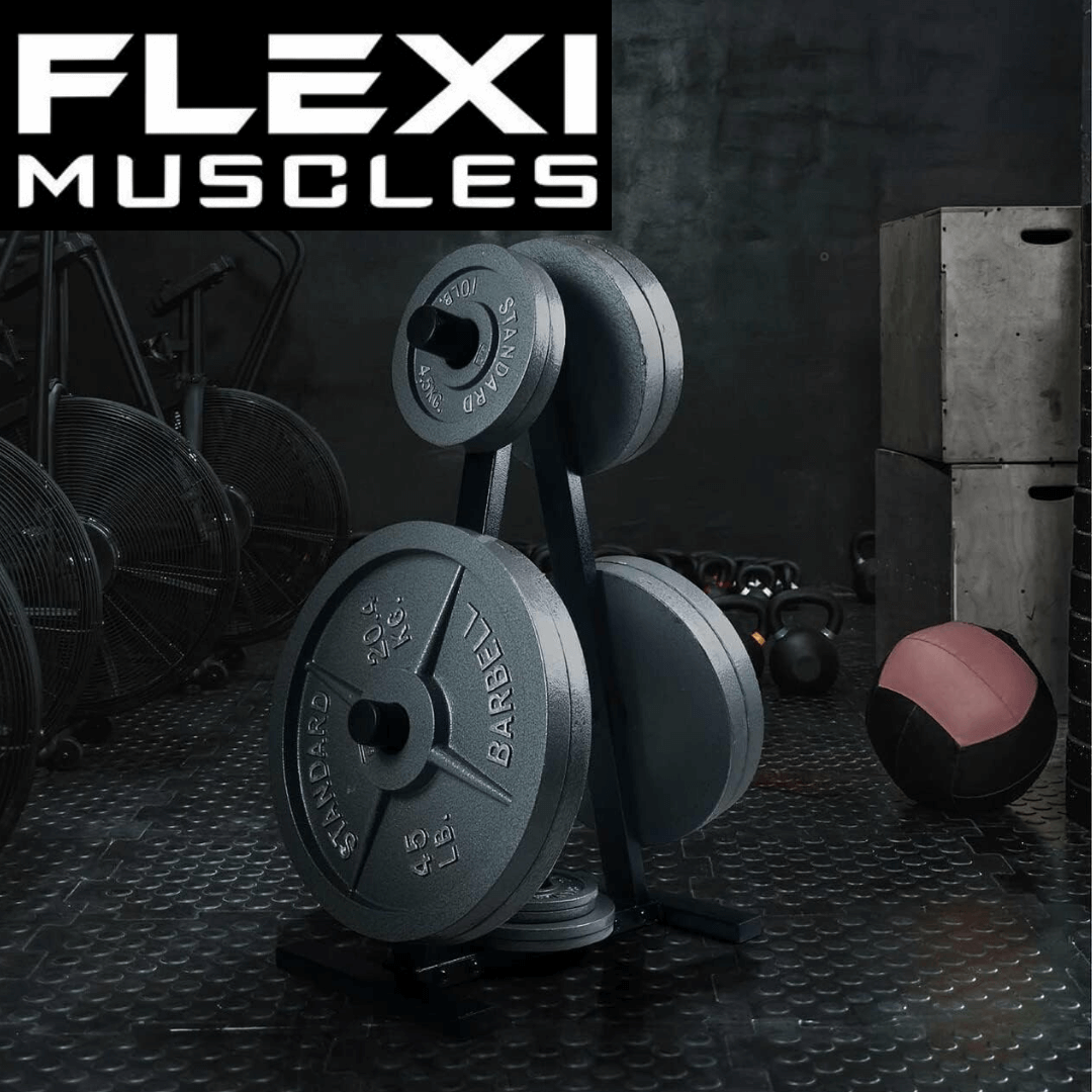 Olympic Barbell Weight Plates Rack.
