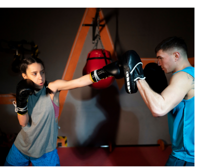 Boxing Focus Punching Mitts.